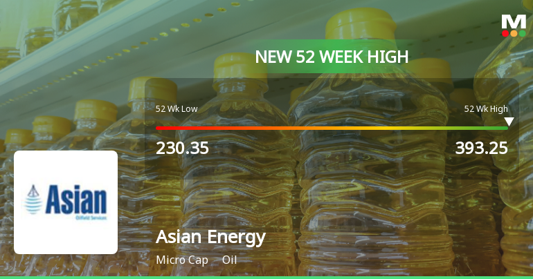 Broad-Based Technical Strength Lifts Asian Energy Services Ltd to 52-Week High of Rs 393.25
