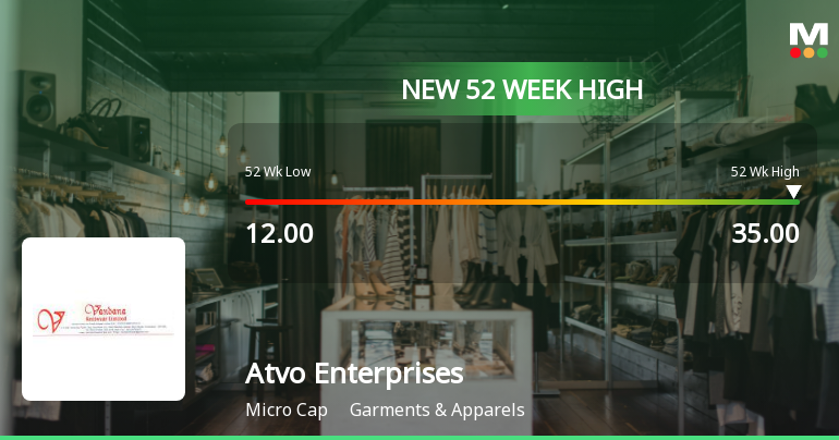 Broad-Based Technical Strength Lifts Atvo Enterprises Ltd to 52-Week High of Rs 35