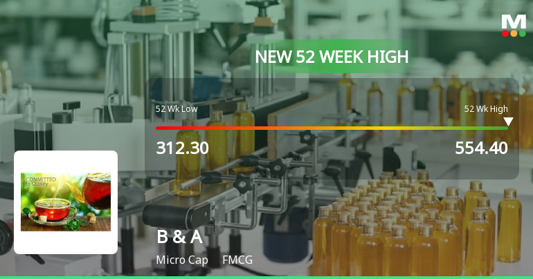 Broad-Based Technical Strength Lifts B & A Ltd to 52-Week High of Rs 554.4