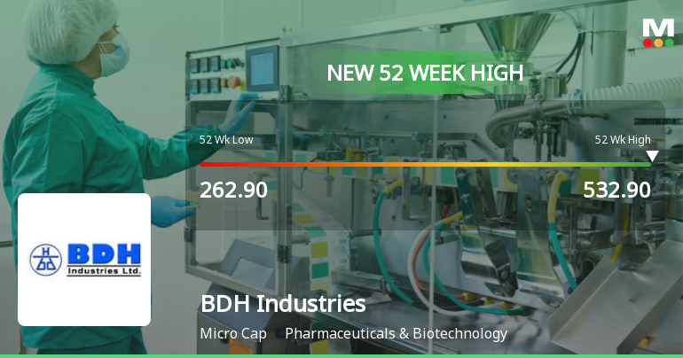 Broad-Based Technical Strength Lifts BDH Industries Ltd to 52-Week High of Rs 532.9