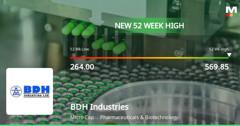 Broad-Based Technical Strength Lifts BDH Industries Ltd to 52-Week High of Rs 569.85