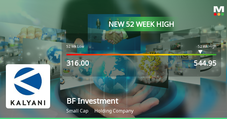 Broad-Based Technical Strength Lifts BF Investment Ltd to 52-Week High of Rs 544.95