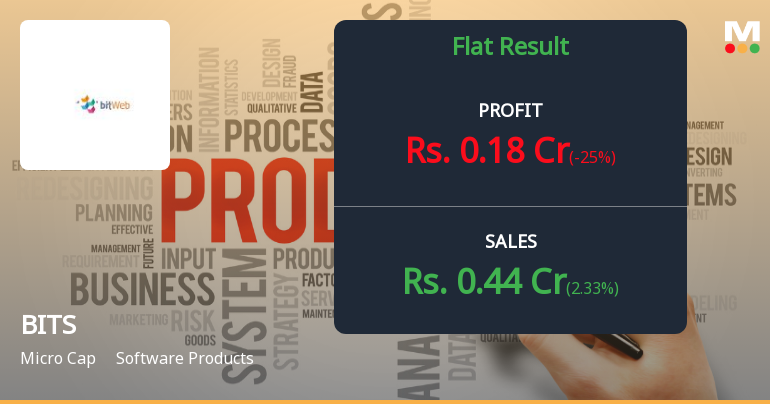 BITS Ltd Q1 FY27: Micro-Cap Software Firm Faces Steep Valuation Concerns Despite Revenue Growth
