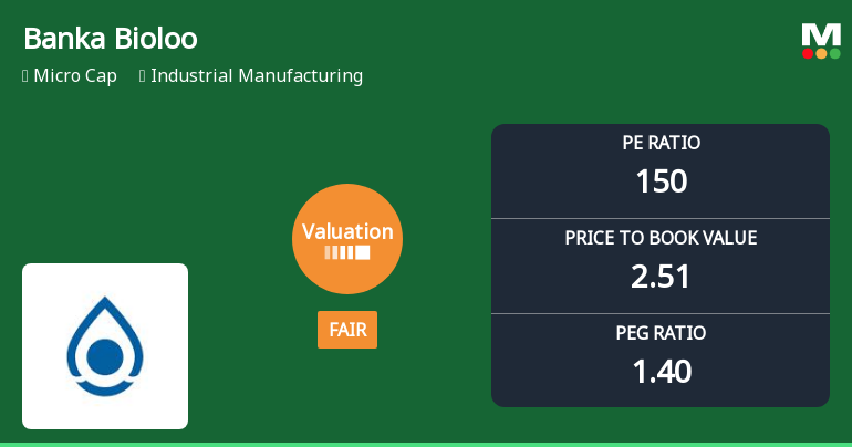 Banka Bioloo Ltd Valuation Shifts: From Attractive to Fair Amidst Mixed Market Returns