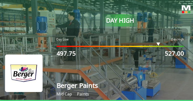 Berger Paints India Ltd Surges 5.62% to Day's High of Rs 516.9 — Inline with Sector Performance