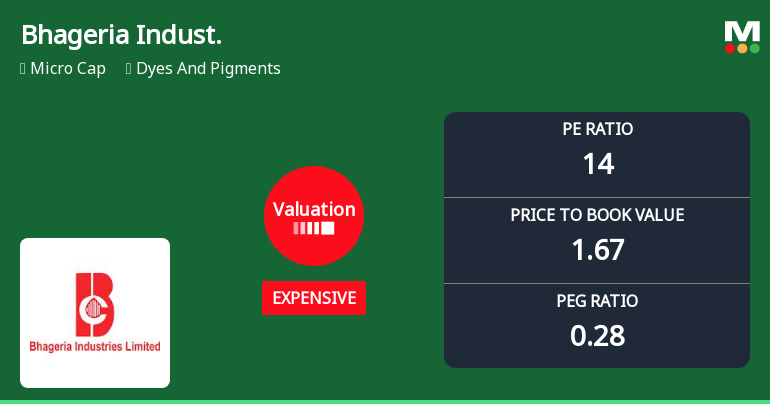 Bhageria Industries Ltd Valuation Shifts Signal Changing Market Sentiment