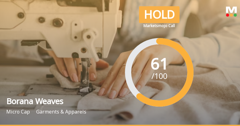 Borana Weaves Ltd is Rated Hold