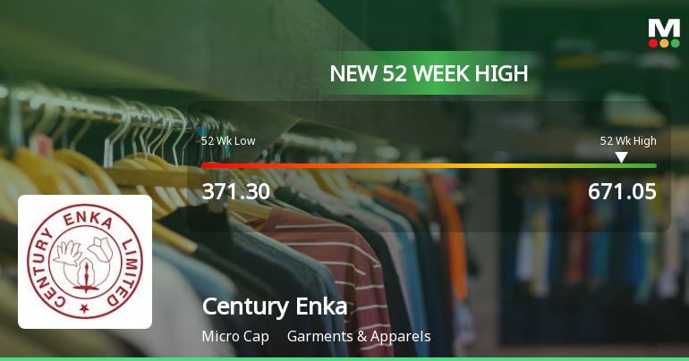 Broad-Based Technical Strength Lifts Century Enka Ltd to 52-Week High of Rs 671.05
