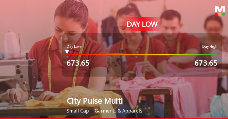 City Pulse Multiventures Ltd Hits Intraday Low Amid Price Pressure