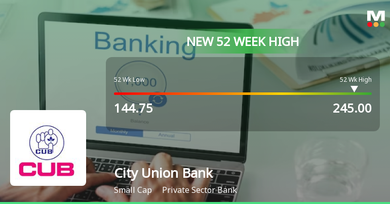 Broad-Based Technical Strength Lifts City Union Bank Ltd. to 52-Week High of Rs 245