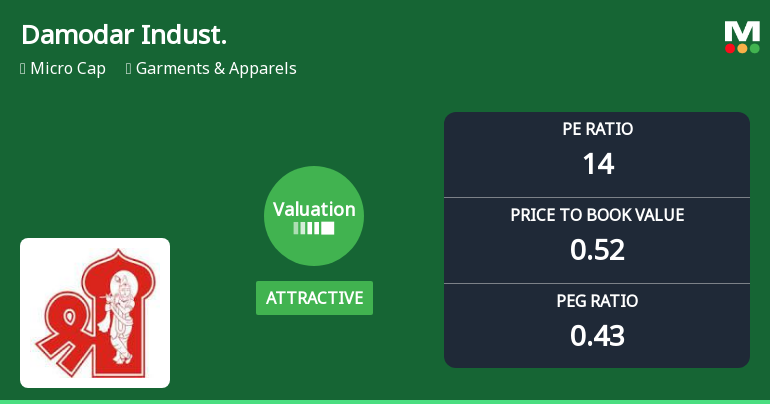 Damodar Industries Ltd: Valuation Shift Enhances Price Attractiveness Amid Mixed Returns