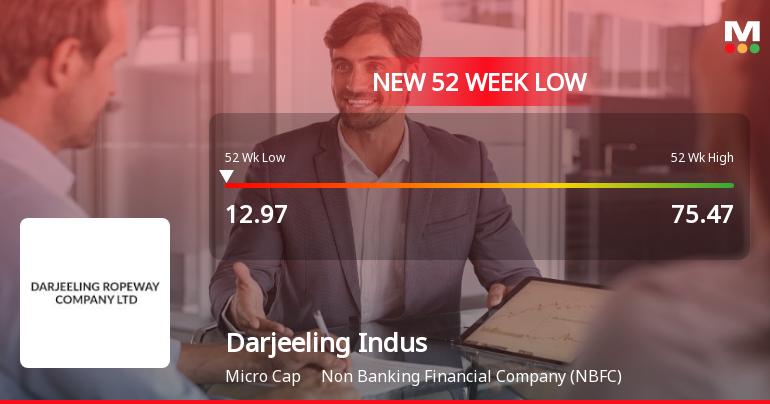 Darjeeling Industriies Ltd Falls to 52-Week Low of Rs 12.97 as Sell-Off Deepens