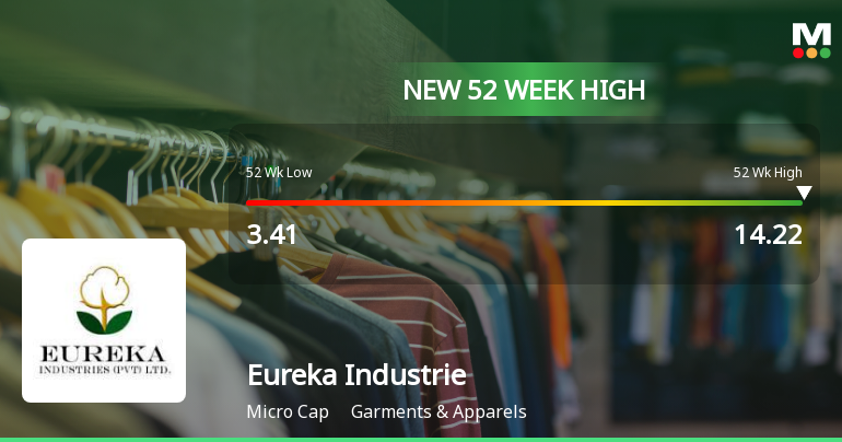 Broad-Based Technical Strength Lifts Eureka Industries Ltd to 52-Week High of Rs 14.22
