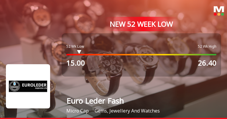 Euro Leder Fashion Ltd Falls to 52-Week Low of Rs 15 as Sell-Off Deepens