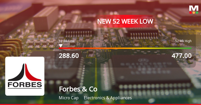 Forbes & Company Ltd Falls to 52-Week Low of Rs 290 as Sell-Off Deepens