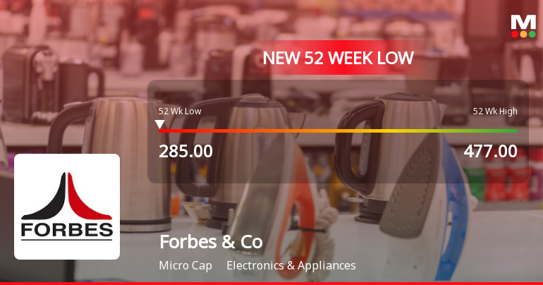 Forbes & Company Ltd Falls to 52-Week Low of Rs 285 as Sell-Off Deepens