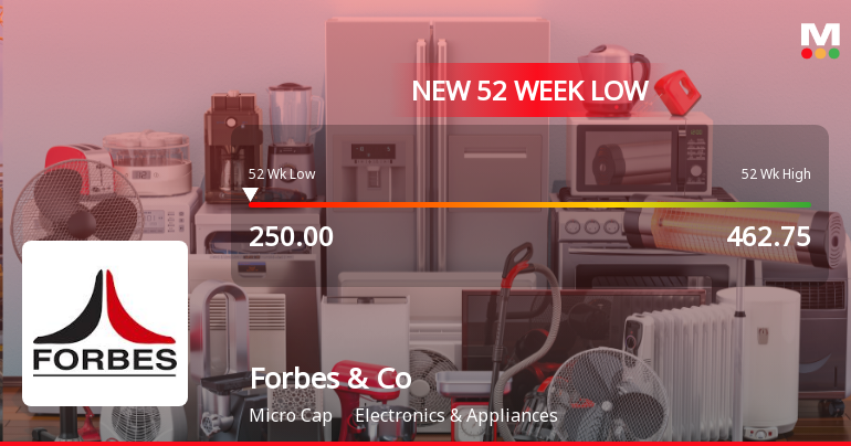Forbes & Company Ltd Falls to 52-Week Low of Rs 250 as Sell-Off Deepens