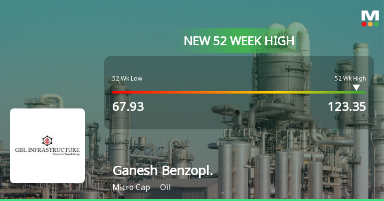 Broad-Based Technical Strength Lifts Ganesh Benzoplast Ltd to 52-Week High of Rs 123.35