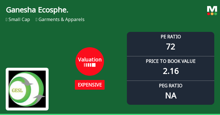 Ganesha Ecosphere Ltd Valuation Shifts Signal Price Attractiveness Concerns