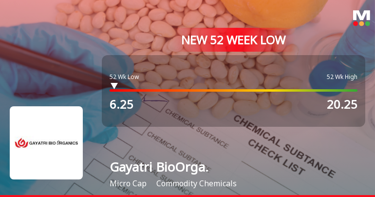 Gayatri BioOrganics Ltd Falls to 52-Week Low of Rs 6.25 as Sell-Off Deepens