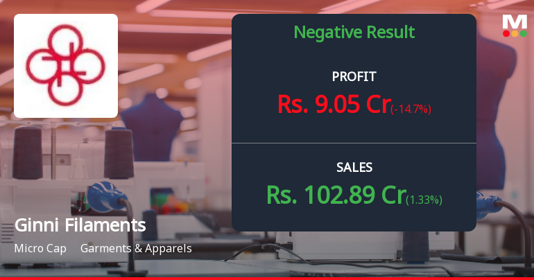 Ginni Filaments Q1 FY27: Profit Plunges 38.64% Despite Revenue Growth