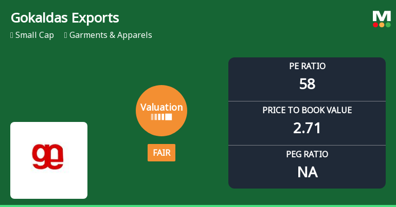 Gokaldas Exports Ltd Valuation Shifts Signal Renewed Price Attractiveness