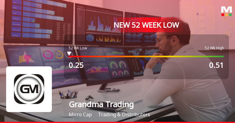 Grandma Trading & Agencies Ltd Falls to 52-Week Low of Rs 0.25 as Sell-Off Deepens