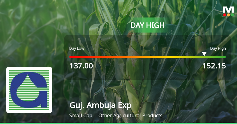 Gujarat Ambuja Exports Ltd Surges 7.29% to Day's High of Rs 151.3 — Outperforms Sector by 5.97 Percentage Points