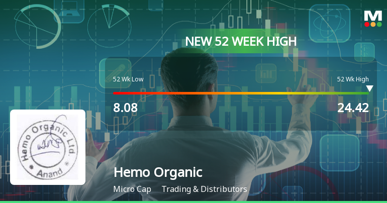 Broad-Based Technical Strength Lifts Hemo Organic Ltd to 52-Week High of Rs 24.42
