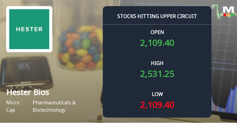 Hester Biosciences Ltd Locks at Upper Circuit With 20% Gain — Buyers Queue, Sellers Absent