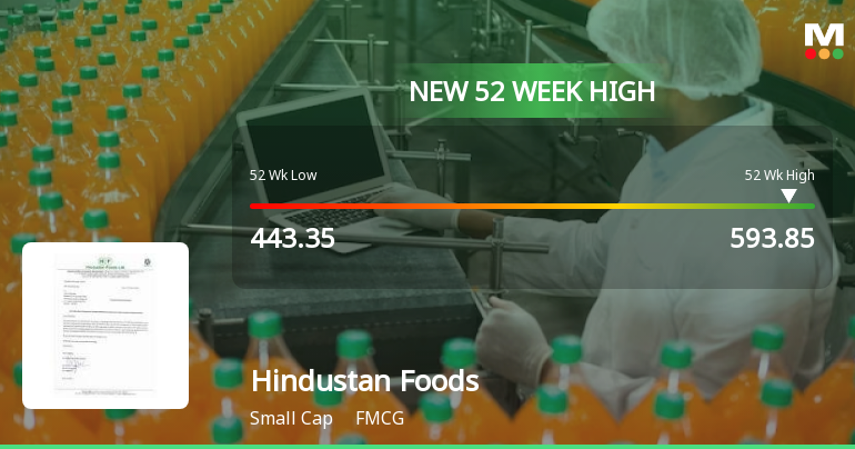Broad-Based Technical Strength Lifts Hindustan Foods Ltd to 52-Week High of Rs 593.85