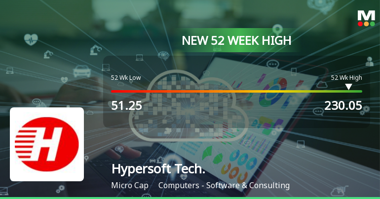Broad-Based Technical Strength Lifts Hypersoft Technologies Ltd to 52-Week High of Rs 230.05