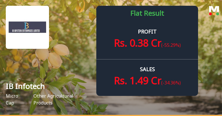 IB Infotech Q1 FY27: Profit Recovery Masks Revenue Volatility Concerns