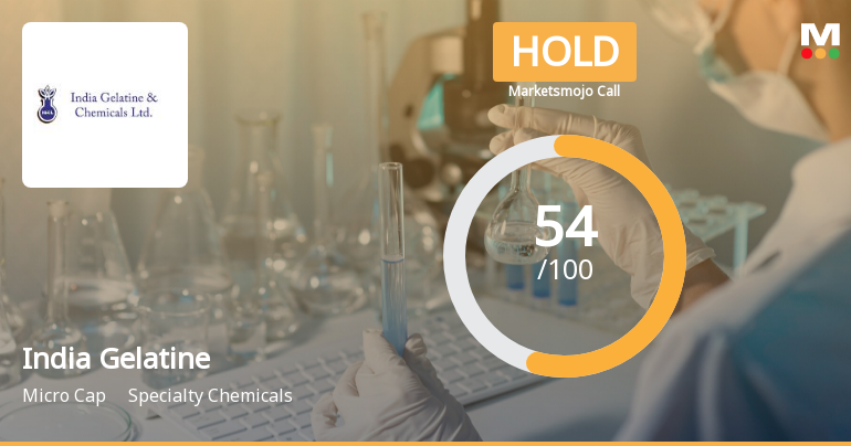 India Gelatine & Chemicals Ltd is Rated Hold