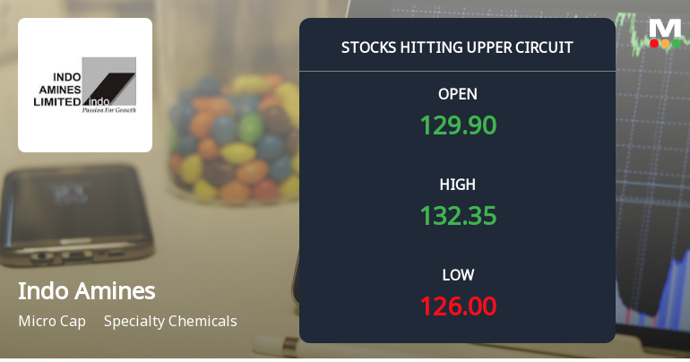 Indo Amines Ltd Locks at Upper Circuit With 5% Gain Amid Delivery Drop and Thin Liquidity