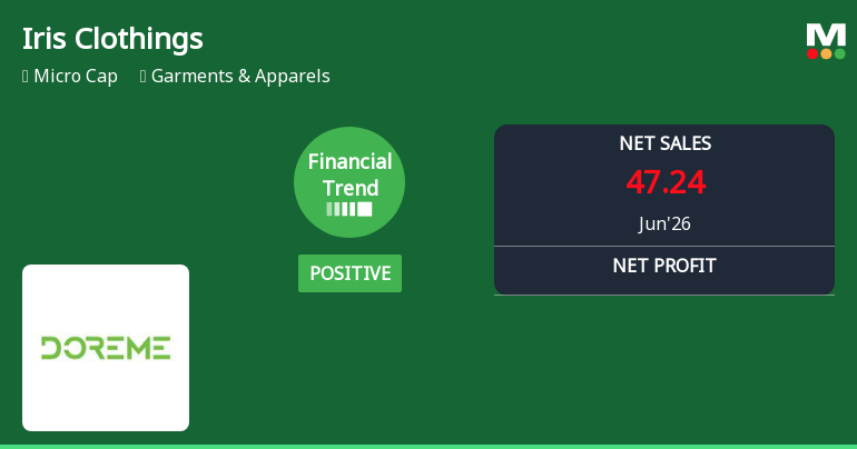 Iris Clothings Ltd Reports Positive Quarterly Growth Amid Margin Pressure