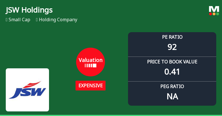 JSW Holdings Ltd Valuation Shifts Signal Price Attractiveness Concerns
