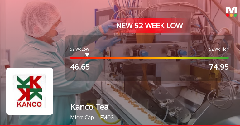 Kanco Tea & Industries Ltd Falls to 52-Week Low of Rs 46.65 Amidst Prolonged Underperformance