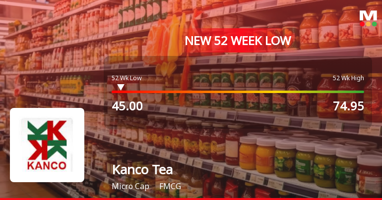 Kanco Tea & Industries Ltd Falls to 52-Week Low of Rs 45 as Sell-Off Deepens