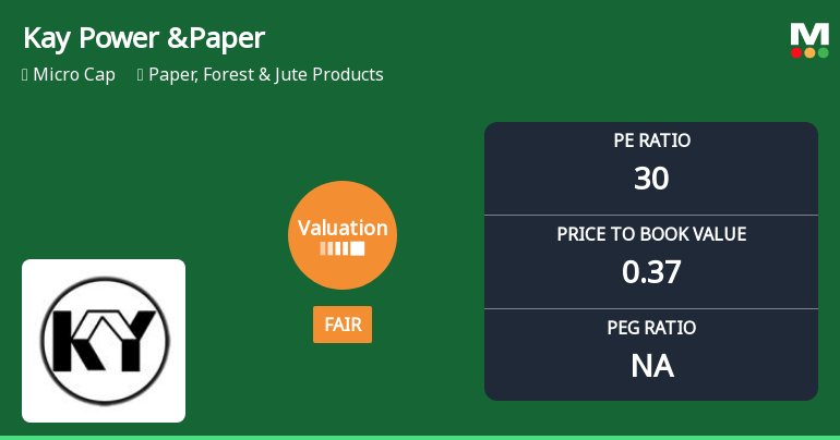 Kay Power & Paper Ltd Valuation Shifts to Fair Amidst Market Pressure