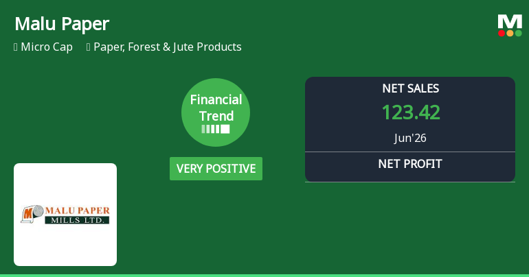 Malu Paper Mills Ltd Reports Very Positive Quarterly Financial Trend Amid Market Challenges