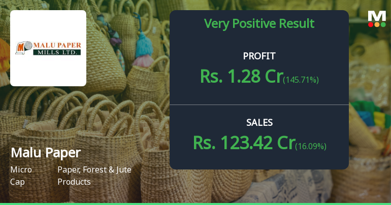 Malu Paper Mills Q1 FY27: Profitability Returns After Five Quarters of Losses