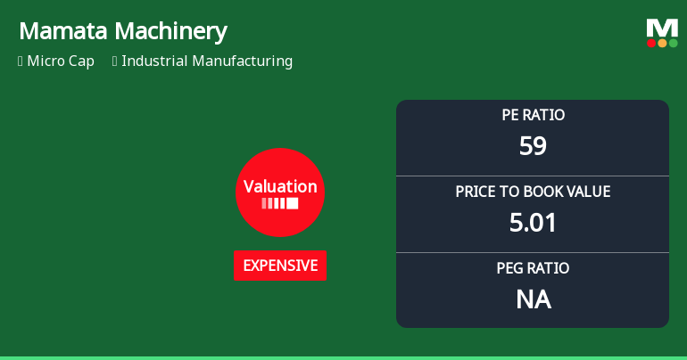 Mamata Machinery Ltd Valuation Shifts Amidst Challenging Market Conditions