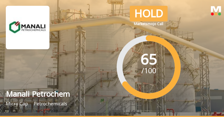Manali Petrochemicals Ltd Downgraded to Hold Amid Valuation Concerns and Mixed Financial Trends