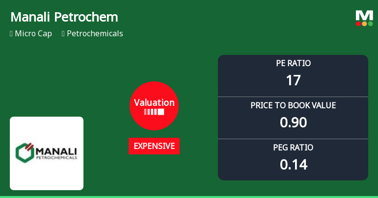 Manali Petrochemicals Ltd Valuation Shifts Signal Changing Market Sentiment