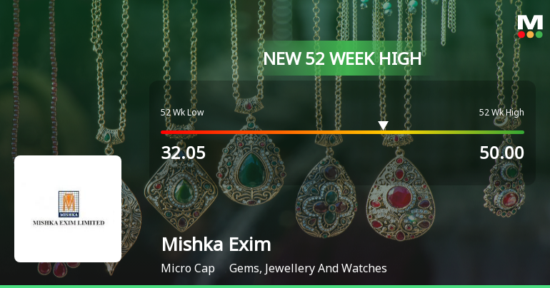 Broad-Based Technical Strength Lifts Mishka Exim Ltd to 52-Week High of Rs 50
