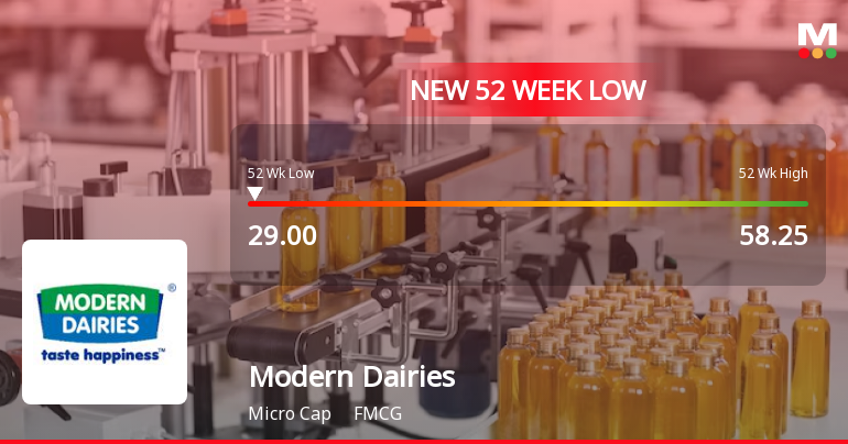 Markets Rally, But Modern Dairies Ltd Sinks to 52-Week Low in Stock-Specific Sell-Off