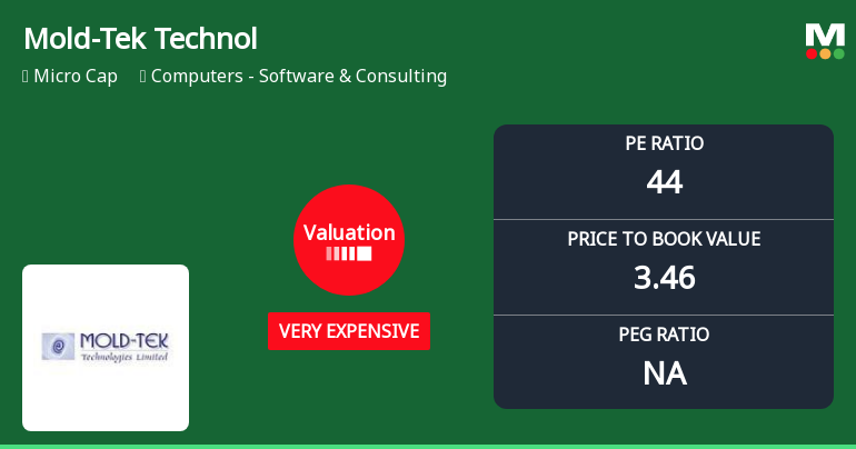 Mold-Tek Technologies Ltd Valuation Shifts Signal Heightened Price Premium