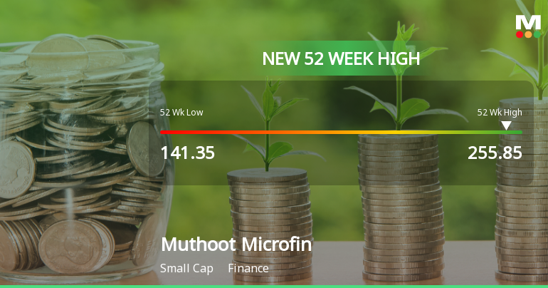 Broad-Based Technical Strength Lifts Muthoot Microfin Ltd to 52-Week High of Rs 255.85