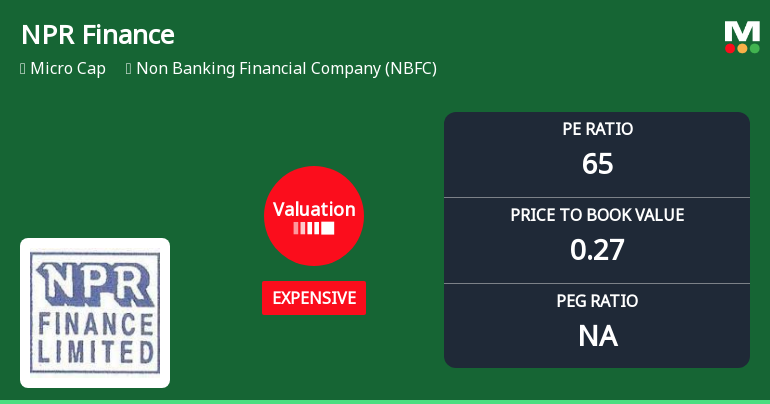 NPR Finance Ltd Valuation Shifts Signal Price Attractiveness Concerns